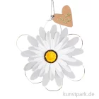 Artikelbild 1 des Artikels “Good old friends - Blütentraum, Weiß, Pompom Gelb “