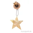 Artikelbild 1 des Artikels “Good old friends - Capizstern, Gold, Stern “