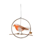 Artikelbild 1 des Artikels “Good old friends - Frühlingsvogel, Rotkehlchen “