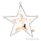 Artikelbild 1 des Artikels “Good old friends - Große Schmucksterne, Sterntaler “