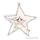 Artikelbild 1 des Artikels “Good old friends - Große Schmucksterne, Wintervögel “
