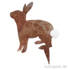 Artikelbild 1 des Artikels “Good old friends - Hasenstecker, Hopsi “