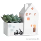 Artikelbild 1 des Artikels “Good old friends - Hausgarten, Fahrrad “