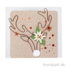 Artikelbild 1 des Artikels “Good old friends - Schmuckhirsch, Sterne “