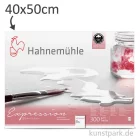 Artikelbild 1 des Artikels “Hahnemühle EXPRESSION Aquarellpapier, 20 Blatt, 300g - matt 40 x 50 cm“