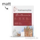 Artikelbild 1 des Artikels “Hahnemühle BRITANNIA Aquarell 10 Einzelblatt, 300g, 50 x 65 cm matt“
