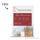 Artikelbild 1 des Artikels “Hahnemühle BRITANNIA Aquarell 10 Einzelblatt, 300g, 50 x 65 cm rau“