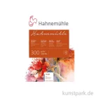 Artikelbild 1 des Artikels “Hahnemühle Echt Bütten Aquarellpapier, 10 Blatt, 300g rau 36 x 48 cm“