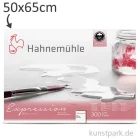 Artikelbild 1 des Artikels “Hahnemühle EXPRESSION Aquarellpapier, 10 Einzelblatt, 300g - matt 50 x 65 cm“