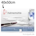 Artikelbild 1 des Artikels “Hahnemühle HARMONY Aquarell Papier, 12 Blatt, 300g - rau 40 x 50 cm“