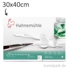 Artikelbild 1 des Artikels “Hahnemühle HARMONY Aquarell Papier, 12 Blatt, 300g - satiniert 30 x 40 cm“