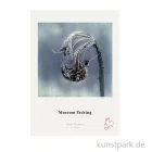 Artikelbild 1 des Artikels “Hahnemühle Museum Etching, 25 Blatt, 350 g/m² DIN A2“