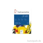 Artikelbild 1 des Artikels “Hahnemühle Öl- und Acryl Malkarton, 10 Blatt, 230g, Leinenprägung 24 x 32 cm“