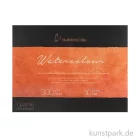 Artikelbild 1 des Artikels “Hahnemühle The Collection Watercolour matt 10 Blatt 300g 24 x 32 cm“