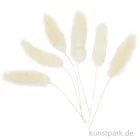 Artikelbild 1 des Artikels “Helles Federgras, 6 Stück im Set, Länge etwa 3 bis 7 cm “