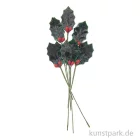 Artikelbild 1 des Artikels “Ilex Stechpalmen, groß, 6 Stück “