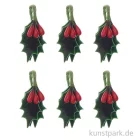 Artikelbild 1 des Artikels “Ilex Stechpalmen, klein, 6 Stück “