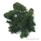Artikelbild 1 des Artikels “Islandmoos - Dunkelgrün, 30 g “