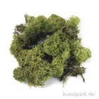 Artikelbild 1 des Artikels “Islandmoos - Hellgrün, 30 g “