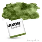 Artikelbild 1 des Artikels “JAXON Aquarellfarben Einzelnapf 1/2 Napf | Olivgrün“