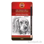 Artikelbild 1 des Artikels “Koh-I-Noor TOISON DOR ART, 12 Graphitstifte im Metalletui 8B-2H “