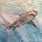 Artikelbild 1 des Artikels “Malkurs - Wildlife Acryl - Hai - 19.09.26 “
