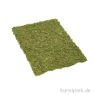 Artikelbild 1 des Artikels “Matte Moos-Optik, 20 x 30 cm “