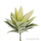 Artikelbild 1 des Artikels “Mini-Agave 15 cm “