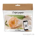 Artikelbild 1 des Artikels “Mini Bastelset - Blumen aus Krepppapier, Pfingstrose “