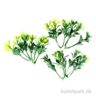 Artikelbild 1 des Artikels “Mini Buchs, 5 cm, 6 Stück “