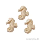 Artikelbild 1 des Artikels “Mini Seepferdchen - Natur, 2,5 cm, 3 Stück “