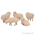 Artikelbild 1 des Artikels “Miniatur Schafe für 9 cm Krippenfiguren, 5,5 cm, 5 Stück “