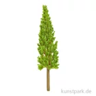 Artikelbild 1 des Artikels “Miniatur Zypresse, ca. 14 cm “