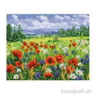 Artikelbild 1 des Artikels “Schipper Malen nach Zahlen, Blumenwiese “