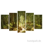 Artikelbild 1 des Artikels “Schipper Malen nach Zahlen, Unser Wald “