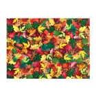 Artikelbild 1 des Artikels “Motiv-Fotokarton - Blätterwald, 300g, 49,5 x 68 cm “