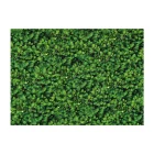 Artikelbild 1 des Artikels “Motiv-Fotokarton - Tannenzweige, 300g, 49,5 x 68 cm “