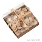 Artikelbild 1 des Artikels “Muschelmix 110 g sortiert “