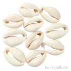 Artikelbild 1 des Artikels “Muschelperlen, Natur, 20 mm, 12 Stück “