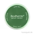 Artikelbild 1 des Artikels “PanPastel - Pastellfarbe im Napf Farbe | 640.3 Permanentgrün dkl“
