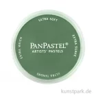 Artikelbild 1 des Artikels “PanPastel - Pastellfarbe im Napf Farbe | 660.3 Chromiumoxidgrün dunkel“