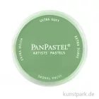 Artikelbild 1 des Artikels “PanPastel - Pastellfarbe im Napf Farbe | 660.5 Chromiumoxidgrün“