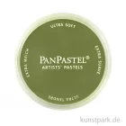 Artikelbild 1 des Artikels “PanPastel - Pastellfarbe im Napf Farbe | 680.1 Gelbgrün extradunkel“