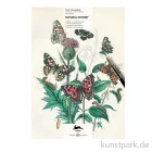 Artikelbild 1 des Artikels “PEPIN Künstler Malbuch - Natural History “