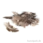Artikelbild 1 des Artikels “Perlhuhnfedern - natur, 100 Stück “