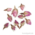 Artikelbild 1 des Artikels “Rayher ganze Rosenknospen, 7 g im Beutel “