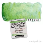 Artikelbild 1 des Artikels “Schmincke HORADAM Aquarell - Supergranulierend 1/2 Napf | Auen Grün“
