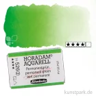 Artikelbild 1 des Artikels “Schmincke HORADAM Aquarellfarben 1/1 Napf | 526 Permanentgrün“