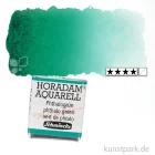 Artikelbild 1 des Artikels “Schmincke HORADAM Aquarellfarben 1/2 Napf | 519 Phthalogrün“