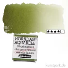 Artikelbild 1 des Artikels “Schmincke HORADAM Aquarellfarben 1/2 Napf | 525 Olivgrün gelblich“